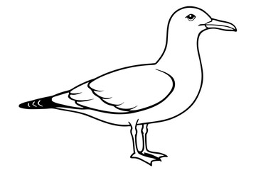 gull silhouette line art vector illustration with a white background