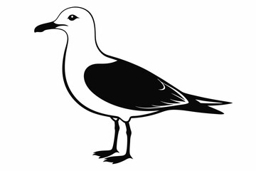 Obraz premium gull silhouette line art vector illustration with a white background
