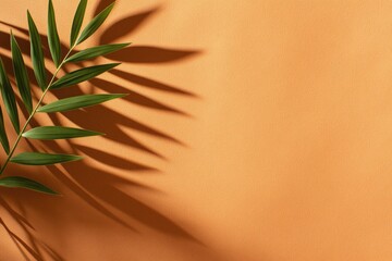 Minimalist Green Palm Leaf Shadow on Warm Orange Background for Modern Design