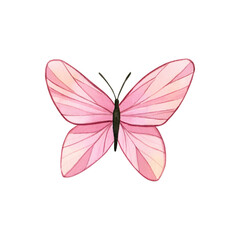 Delicate pink butterfly. Watercolor hand painted illustration. Isolated element on a white background. For wedding and birthday design, invitational and greeting cards.