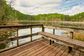 Obraz premium Wood dock by pond with lilly pads