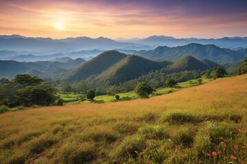 mountains in the distance with a field of grass and wildflowers