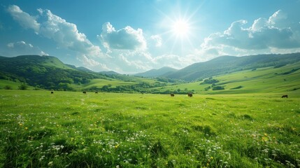 Obraz premium Cows grazing in sunny mountain valley meadow