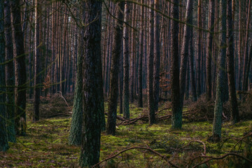 Cisza, spokój i równowaga