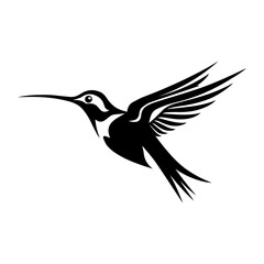 Obraz premium Hummingbird bird on white background.Elements for design.