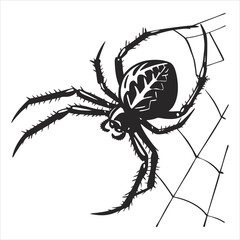 silhouette spider on white background 