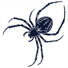 silhouette spider on white background 