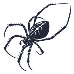 silhouette spider on white background 
