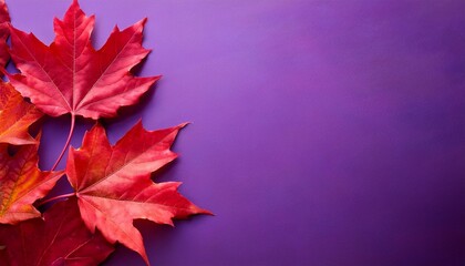 red maple leaves