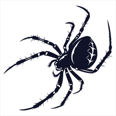 silhouette spider on white background 