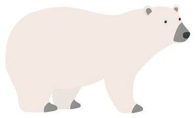 PNG Cpolar bear wildlife animal mammal.