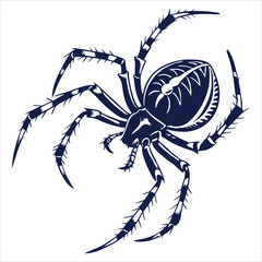 silhouette spider on white background 