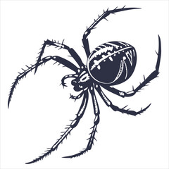 silhouette spider on white background 