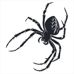 Obraz premium silhouette spider on white background 