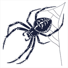 silhouette spider on white background 
