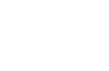 spider web no background