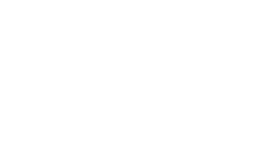 spider web no background