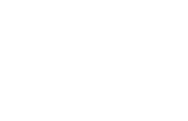 spider web no background