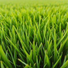 Fototapeta premium Lush Green Grass Blades in Early Spring Sprouting with Vibrancy