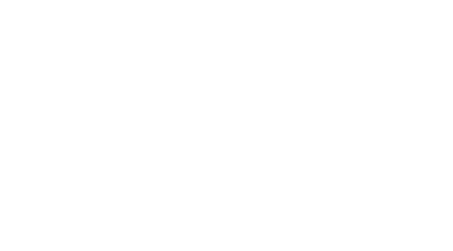 spider web no background