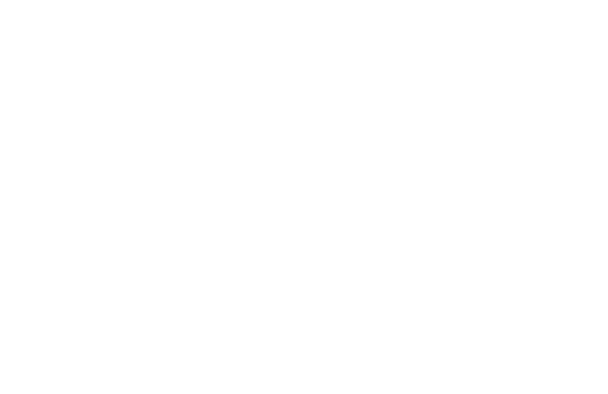 spider web no background