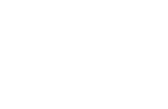 spider web no background