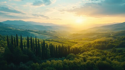 Sunlit Tuscan countryside at sunset. Rolling hills and cypress trees create a picturesque scene.
