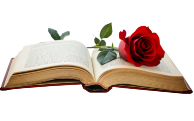 A Romantic Novel Open to a Beautifully Highlighted and Heartfelt Passage Isolated on transparent background PNG