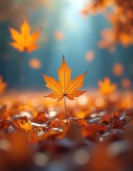 Fototapete Photo autumn scene with vibrant orange maple leaves on ground, against soft blurred blue sky. Fallen leaves on forest ground. Nature scene evokes peaceful serene mood. Autumnal foliage beauty. © Vadym