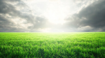 Fototapeta premium Lush green field under cloudy sky with sunlight breaking through