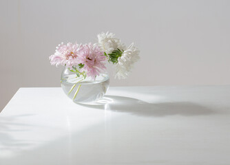 asters in round glass vase on white background