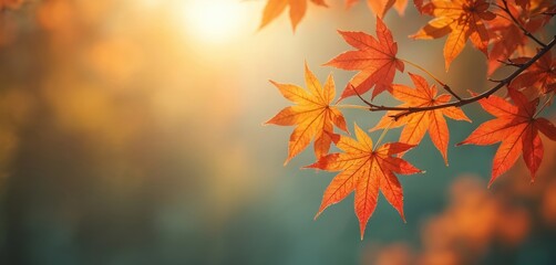 Sunlit maple branch with vibrant autumn foliage. Red, orange leaves create seasonal backdrop. Perfect for Thanksgiving, seasonal promotions, family events. Fall colors create cozy mood. Natural