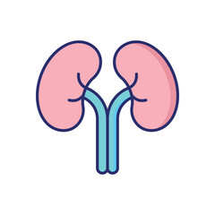 Kidney vector icon