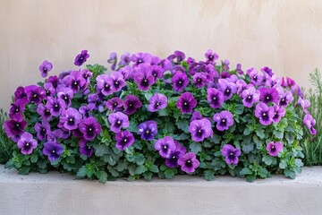 Fototapeta premium Focusing on a Radiant Purple Blossom in a Green Garden Setting