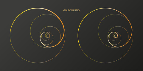Golden ratio spiral, proportion golden ratio. Fibonacci numbers, geometric ratio of figures, method golden section.