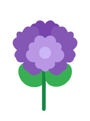 A bright purple flower drawing with fresh green foliage set against a white backdrop