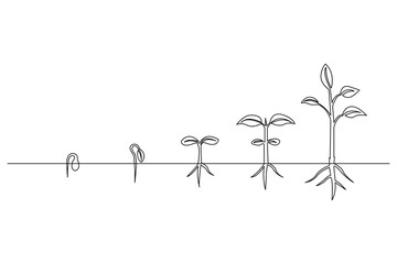 W Growth plant tree drawing single line art from line vector art isolated white background, vector illustrasion