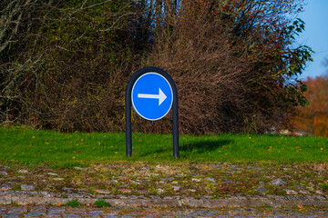 blue directional road sign in green landscape.