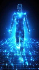 Digital Human Walking on a Networked Pathway