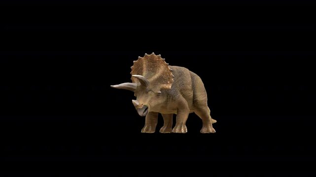 Triceratops Dinosaur idle loop 3D animation