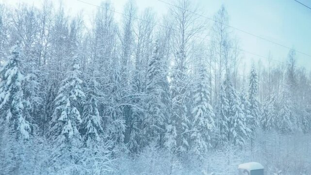 Experience the serene beauty of a winter railroad journey through taiga forest, filled with snow-covered trees and a peaceful atmosphere. Nature at its most tranquil. Traveling by rail. Frosty morning