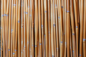 Close-up of woven texture, possibly bamboo or similar natural material, with a uniform pattern Shot outdoors, with sharp focus on the front and slightly blurred background