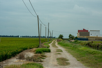 Camino a la dehesa