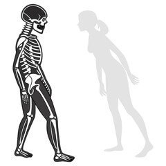 silhouette x - ray on white background