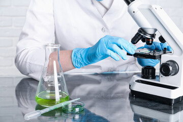 Fototapeta premium Laboratory testing. Scientist examining sample under microscope at table indoors, closeup
