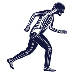 silhouette x - ray on white background