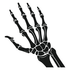 silhouette x - ray on white background