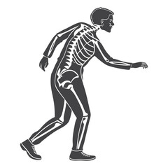 silhouette x - ray on white background