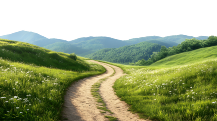 Serene Mountain Path Winding Through Lush Green Meadow
