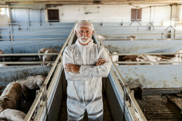 Portrait of an old farmer in sterile uniform standing at pig farm with arms crossed.